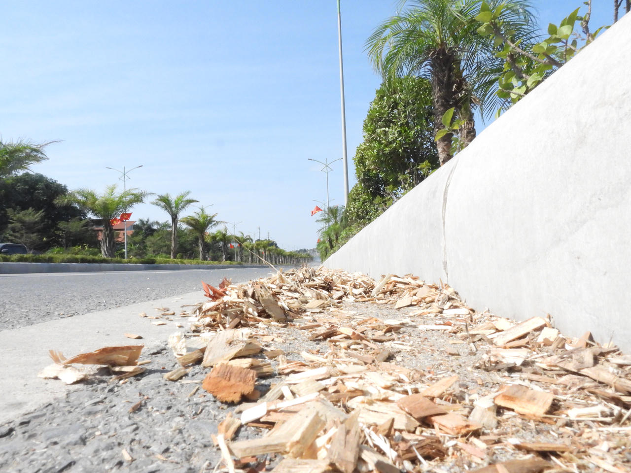 Quyết liệt xử lý xe làm rơi vãi dăm gỗ trên đường TP Hạ Long