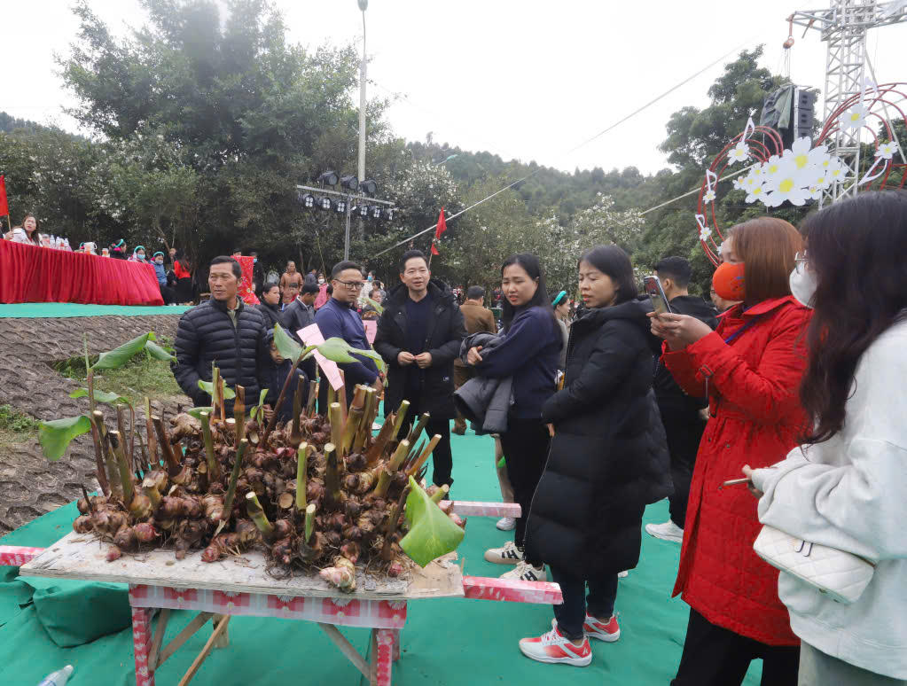 Cuối tuần này diễn ra Hội hoa sở Bình Liêu năm 2024