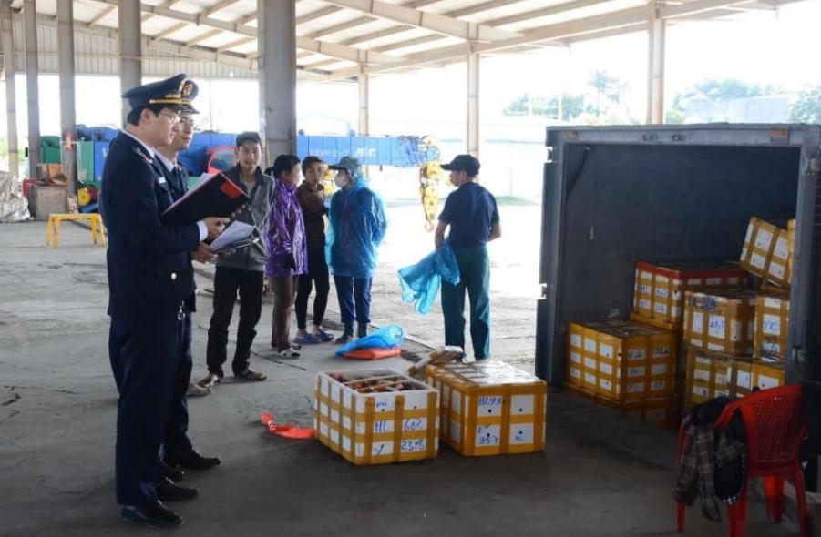 Hải quan Móng Cái (Quảng Ninh) thực hiện nhiều giải pháp chống buôn lậu dịp cuối năm