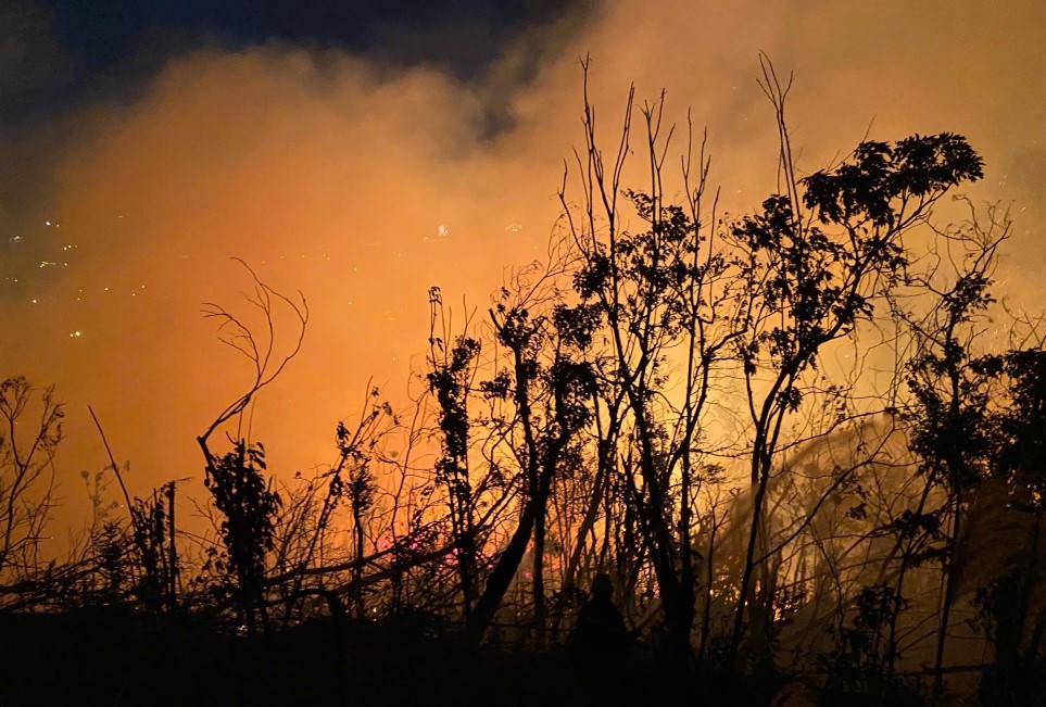 Lực lượng chức năng nỗ lực khống chế cháy rừng tại phường Bãi Cháy (TP Hạ Long)