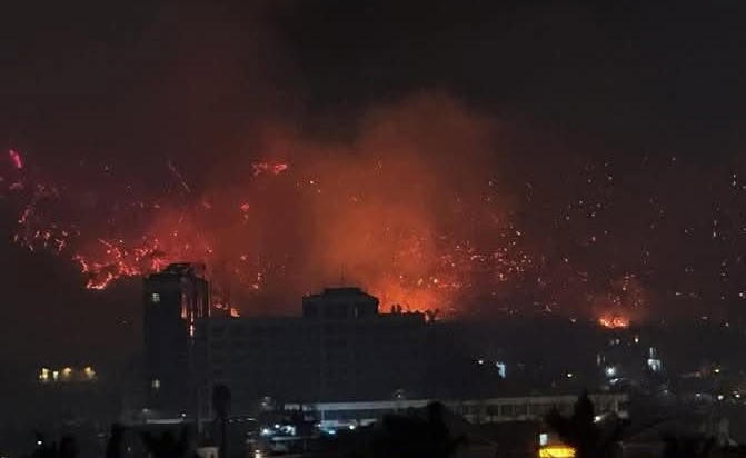 Lực lượng chức năng nỗ lực khống chế cháy rừng tại phường Bãi Cháy (TP Hạ Long)