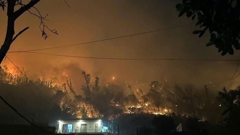 Lực lượng chức năng nỗ lực khống chế cháy rừng tại phường Bãi Cháy (TP Hạ Long)