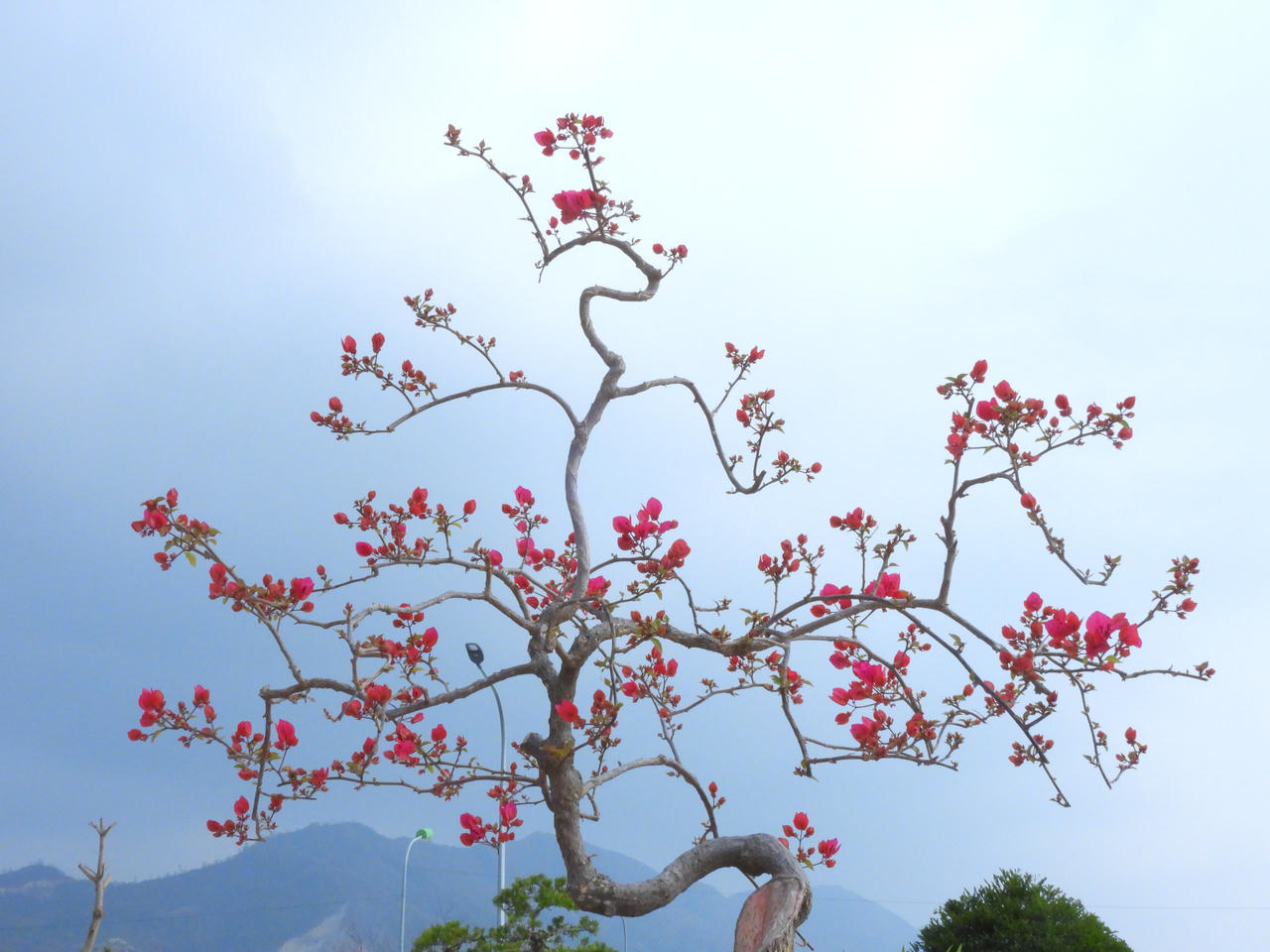 Hải Phòng, Quảng Ninh khai mạc Hội báo Xuân Ất Tỵ 2025 