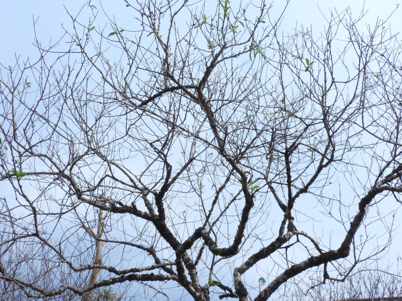 Hải Phòng, Quảng Ninh khai mạc Hội báo Xuân Ất Tỵ 2025 