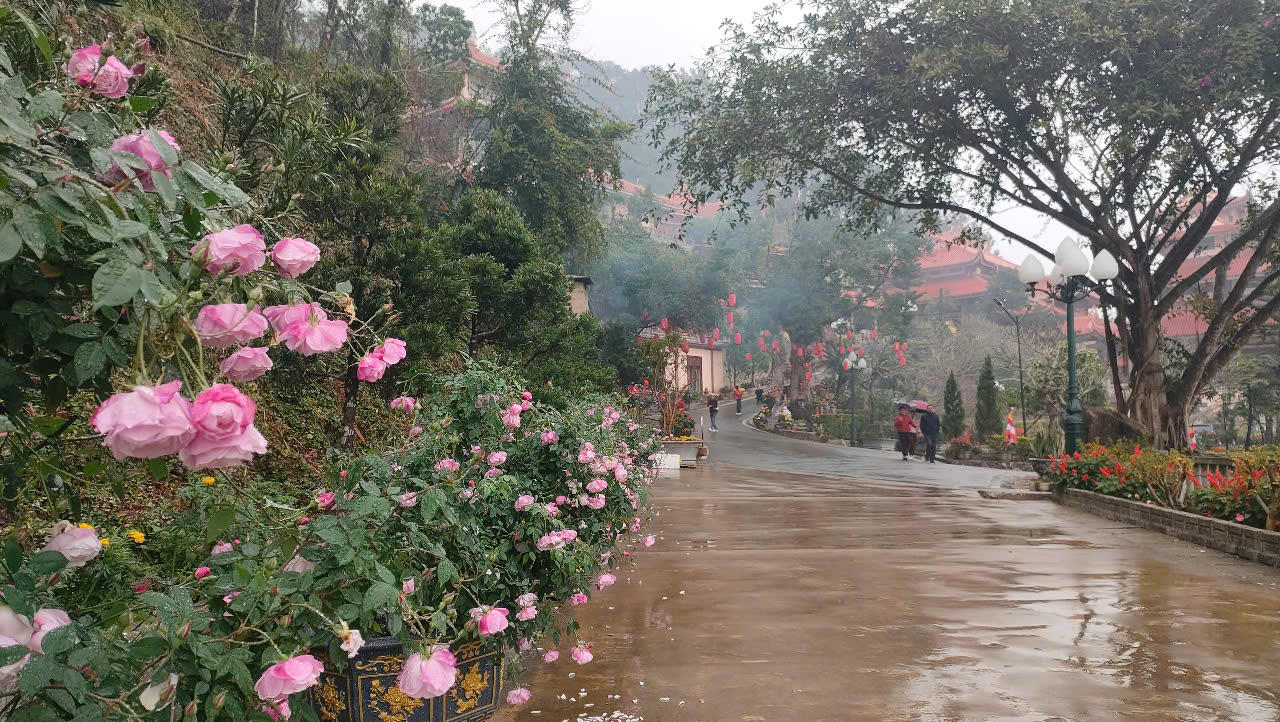 Điểm du lịch tâm linh bên bờ vịnh Bái Tử Long