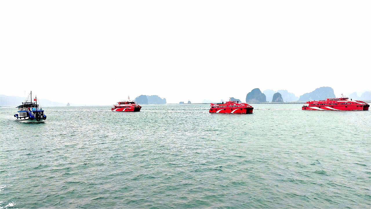 Bàn giải pháp phát triển du lịch vịnh Bái Tử Long