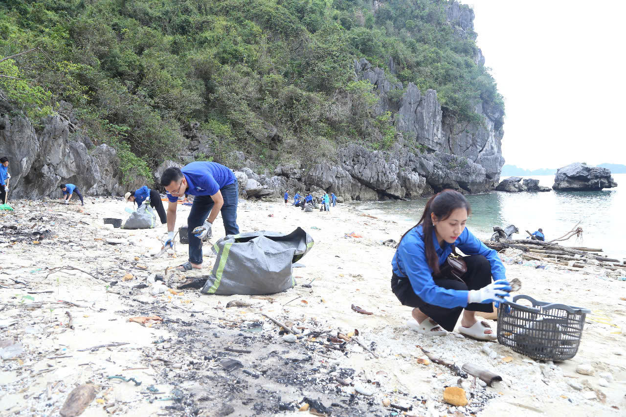 Đoàn thanh niên ra quân bảo vệ môi trường biển tại Quảng Ninh