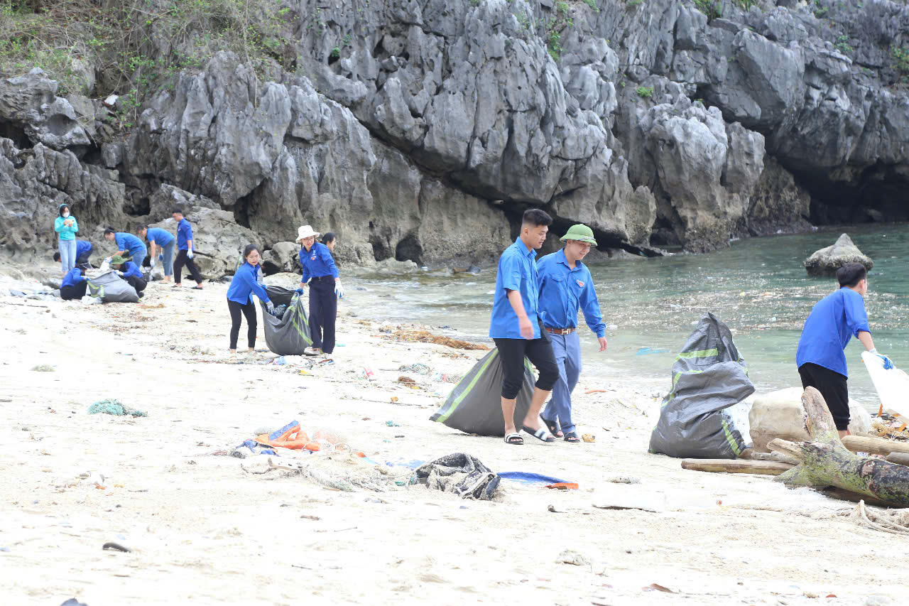 Đoàn thanh niên ra quân bảo vệ môi trường biển tại Quảng Ninh
