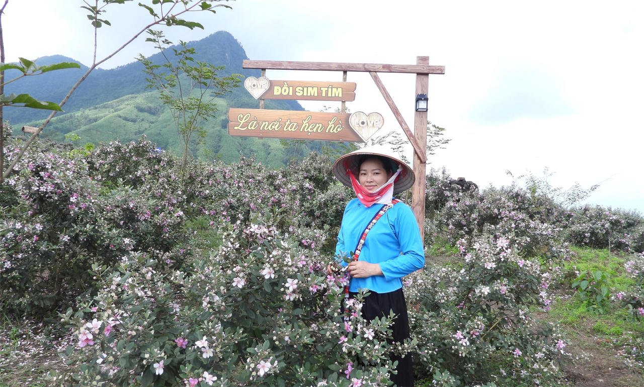 Đặc sắc Lễ hội Hoa sim biên giới tại Quảng Ninh