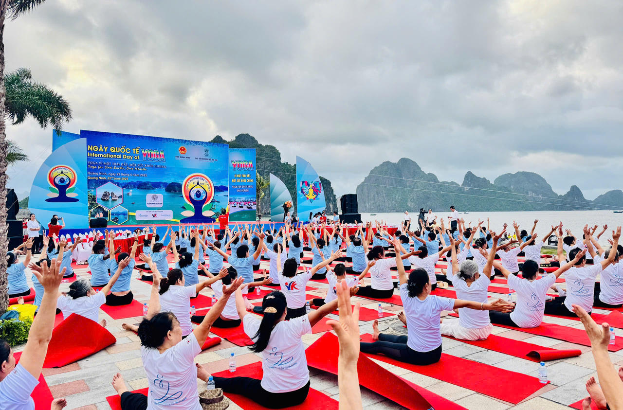 Hàng nghìn Yogi tham dự Ngày hội Yoga bên bờ Di sản vịnh Hạ Long