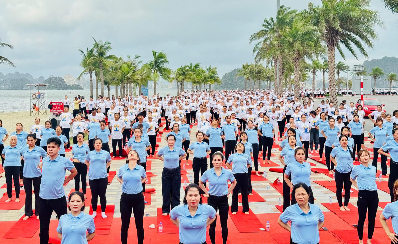 Hàng nghìn Yogi tham dự Ngày hội Yoga bên bờ Di sản vịnh Hạ Long