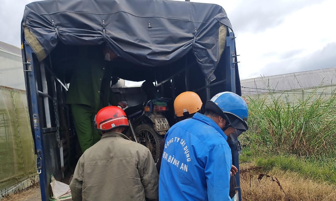 Hàng loạt cây thông bị cưa hạ tại khu vực lấn chiếm đất rừng ở Đà Lạt