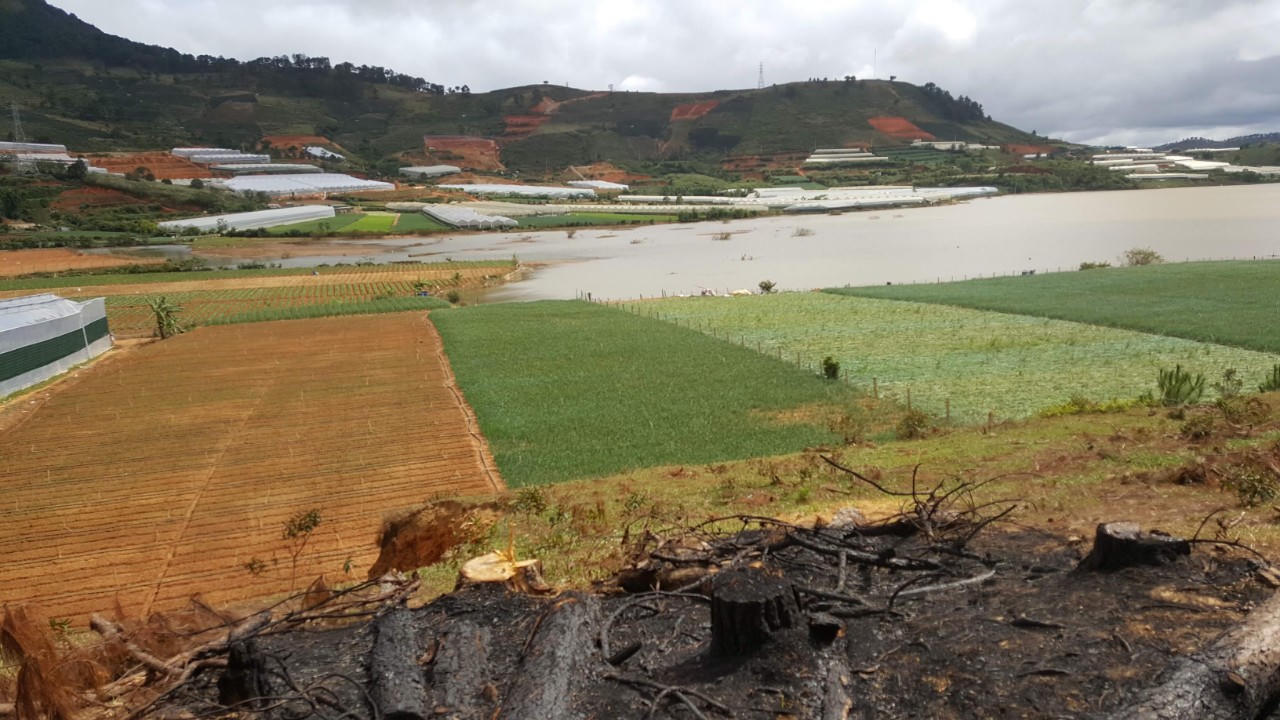 Sai phạm trong cấp “sổ đỏ” ở Lâm Đồng: Quá hạn, huyện Lạc Dương chưa báo cáo thực hiện kết luận thanh tra