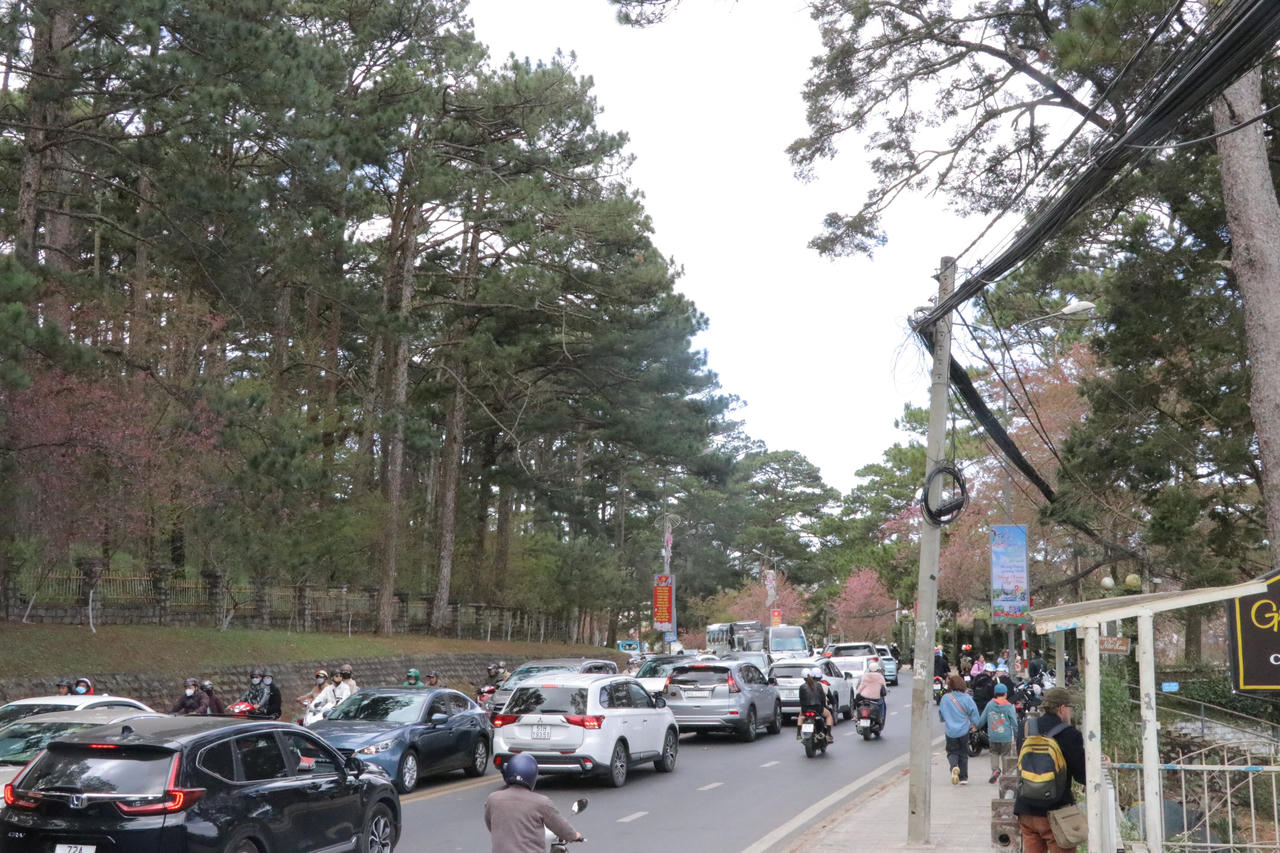 Nỗ lực đảm bảo an toàn cho du khách đến Đà Lạt dịp Tết