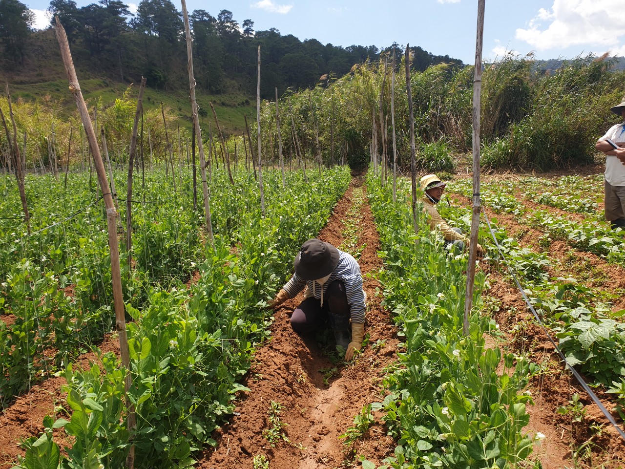 Người dân bị thu hồi đất thực hiện hồ Ta Hoét sẽ được tái định canh