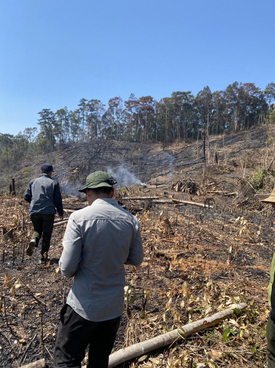 Tạm giữ 5 đối tượng phá hơn 4ha rừng phòng hộ