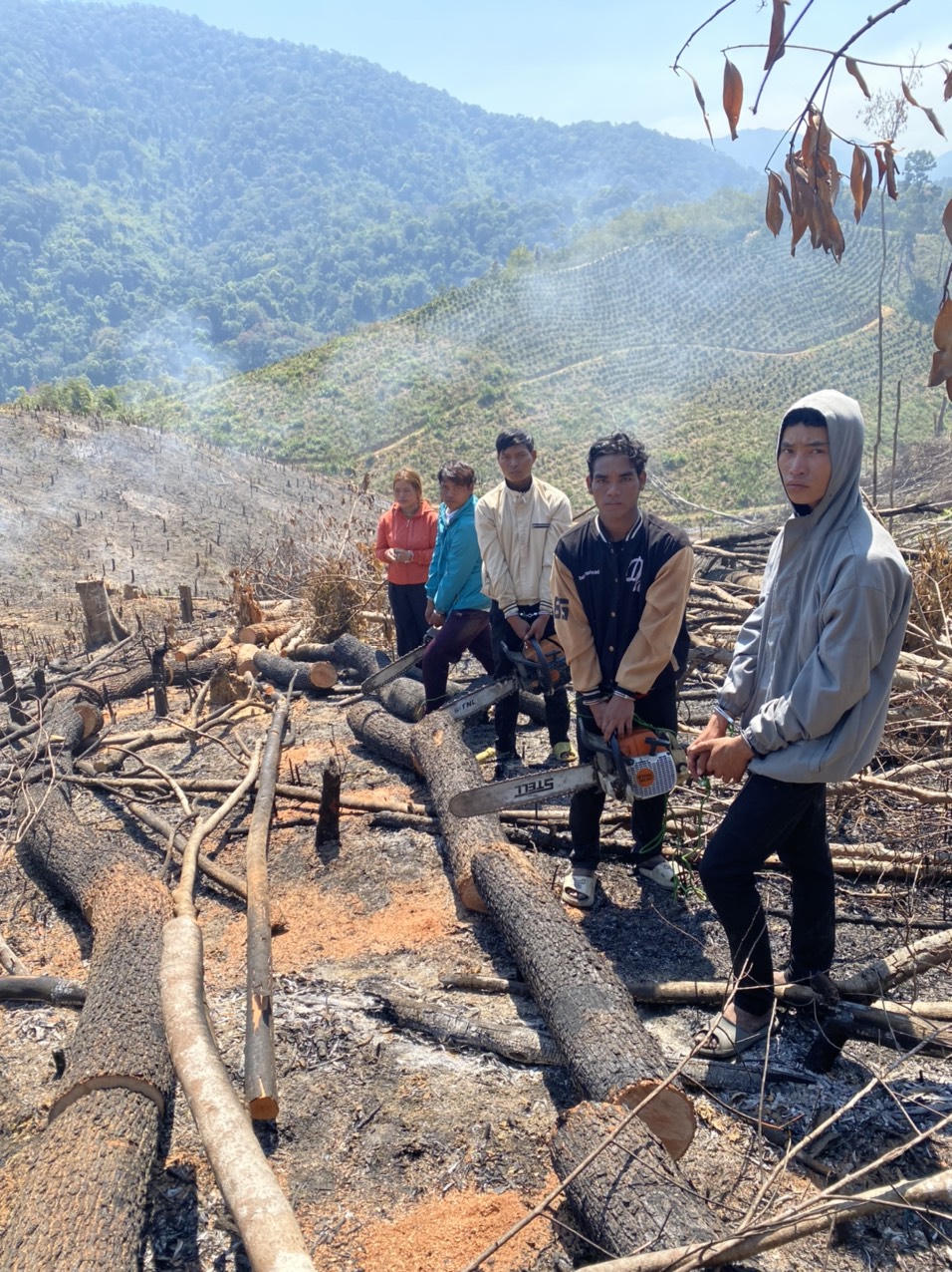 Tạm giữ 5 đối tượng phá hơn 4ha rừng phòng hộ