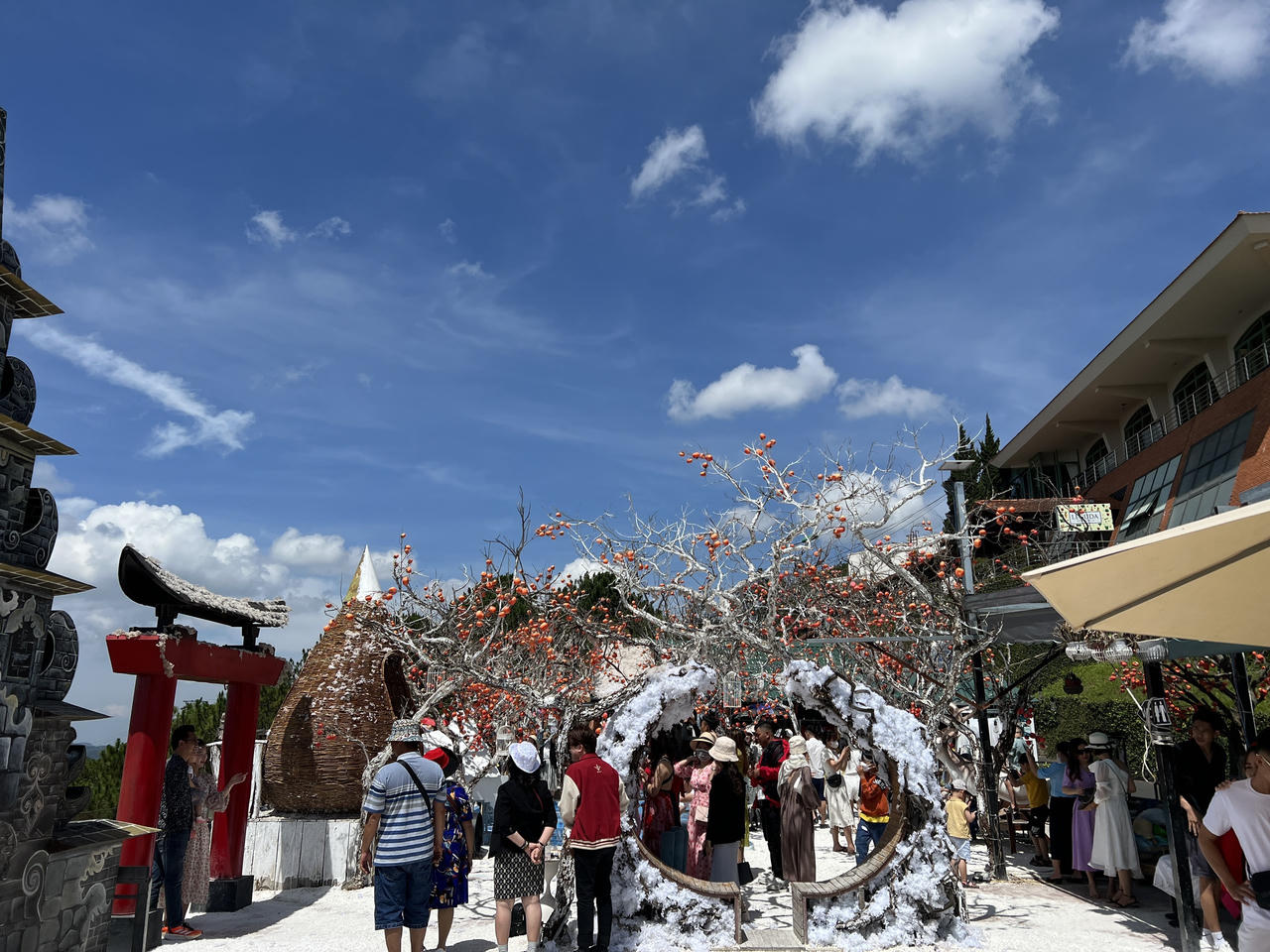 Du khách náo nức check-in ở 'thành phố sương mù'