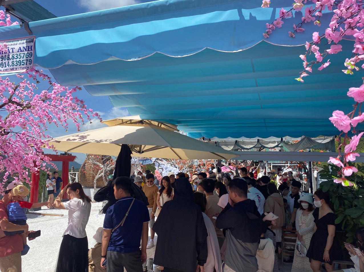 Du khách náo nức check-in ở 'thành phố sương mù'