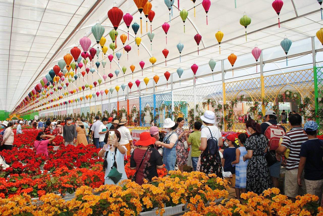 Du khách náo nức check-in ở 'thành phố sương mù'