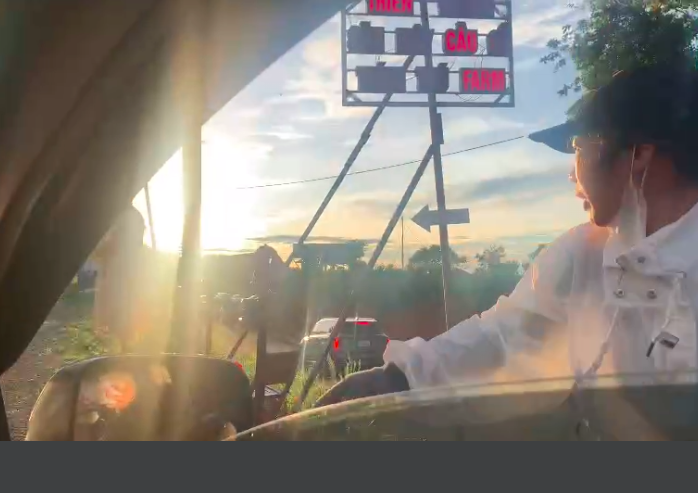 Bát nháo du lịch săn mây ở Đà Lạt