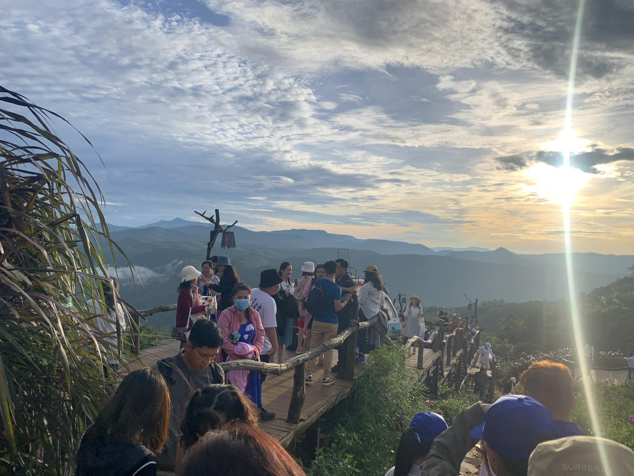 Bát nháo du lịch săn mây ở Đà Lạt