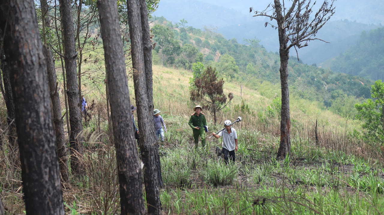 Khởi tố thêm 2 bị can liên quan sai phạm giao khoán đất rừng tại Lâm Đồng