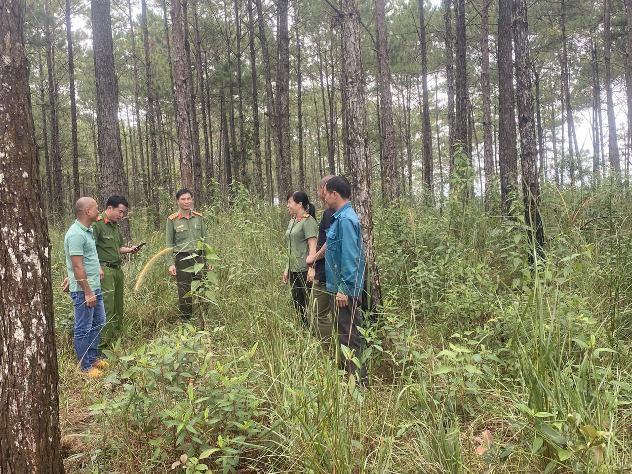 Lâm Đồng: Đột phá trong công tác phát triển kinh tế - xã hội vùng đồng bào dân tộc thiểu số