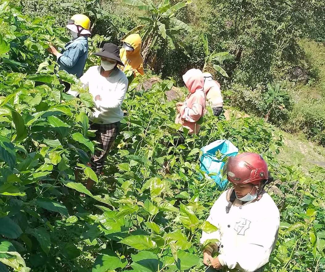 Lâm Đồng: Đột phá trong công tác phát triển kinh tế - xã hội vùng đồng bào dân tộc thiểu số