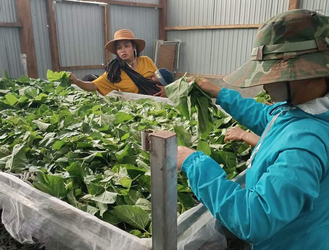 Đổi thay đời sống đồng bào dân tộc thiểu số ở vùng đất khó Đam Rông