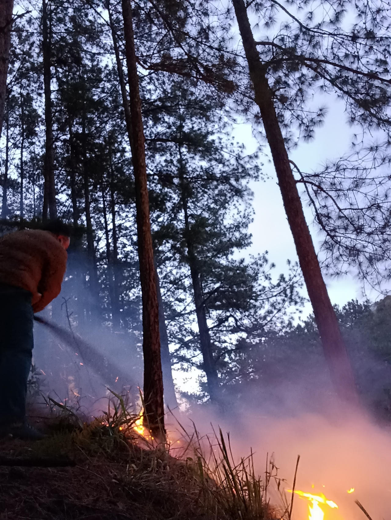 Lâm Đồng lên phương án chữa cháy rừng cụ thể theo 3 cấp độ 