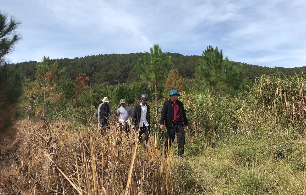 Lâm Đồng lên phương án chữa cháy rừng cụ thể theo 3 cấp độ 