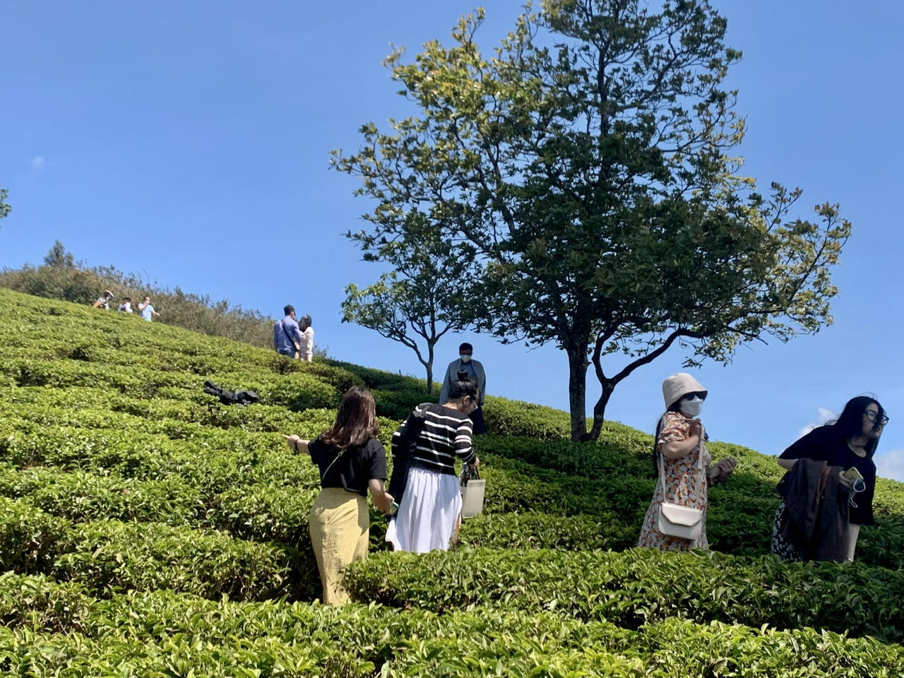 3 việc Tây Nguyên có thể làm ngay để bứt phá