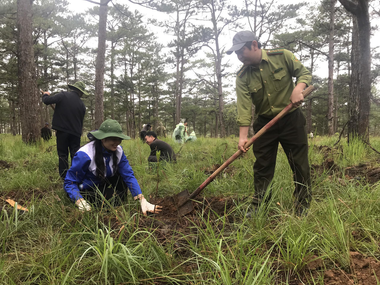 Thanh niên Lâm Đồng 'đội mưa' trồng rừng