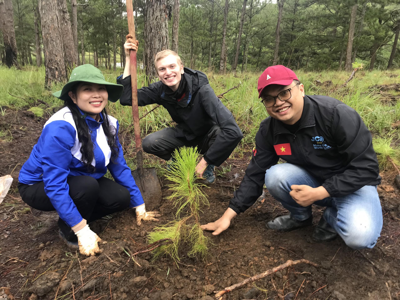 Thanh niên Lâm Đồng 'đội mưa' trồng rừng