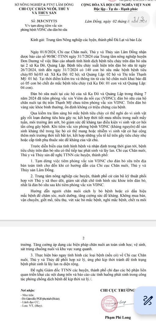 Bò sữa chết hàng loạt ở Lâm Đồng