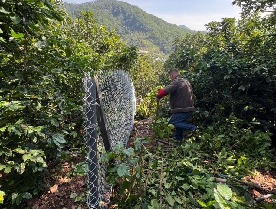 Lâm Đồng: Cưỡng chế thi hành án thành công vụ việc phức tạp