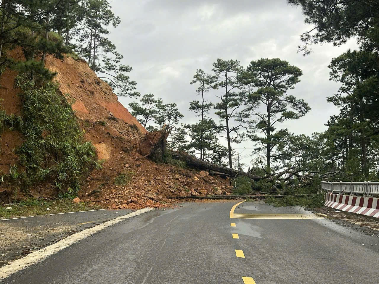 Lâm Đồng cấm phương tiện qua đèo D’ran