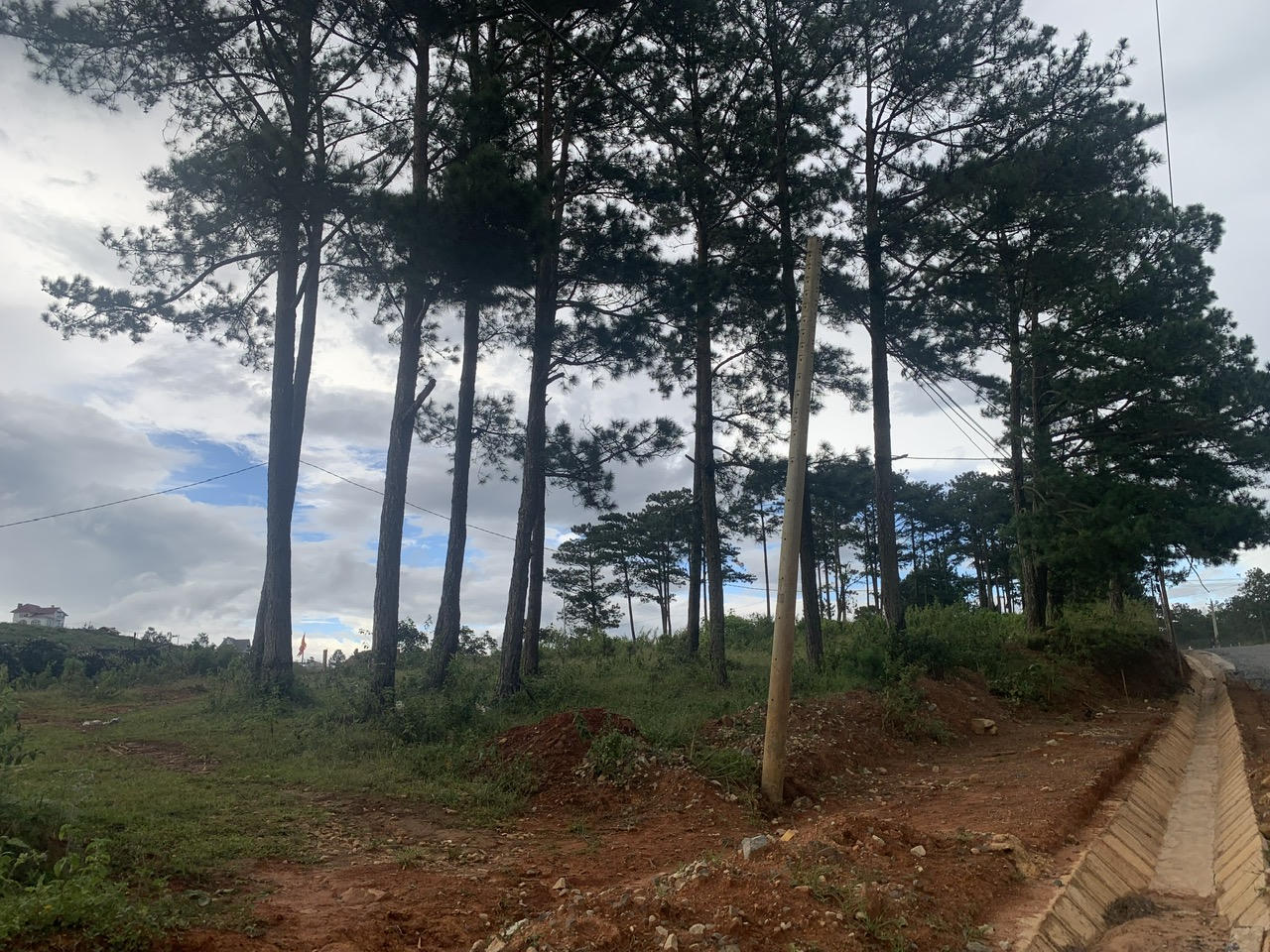 Đặt bẫy kim tiêm trên diện tích lấn chiếm đất rừng 