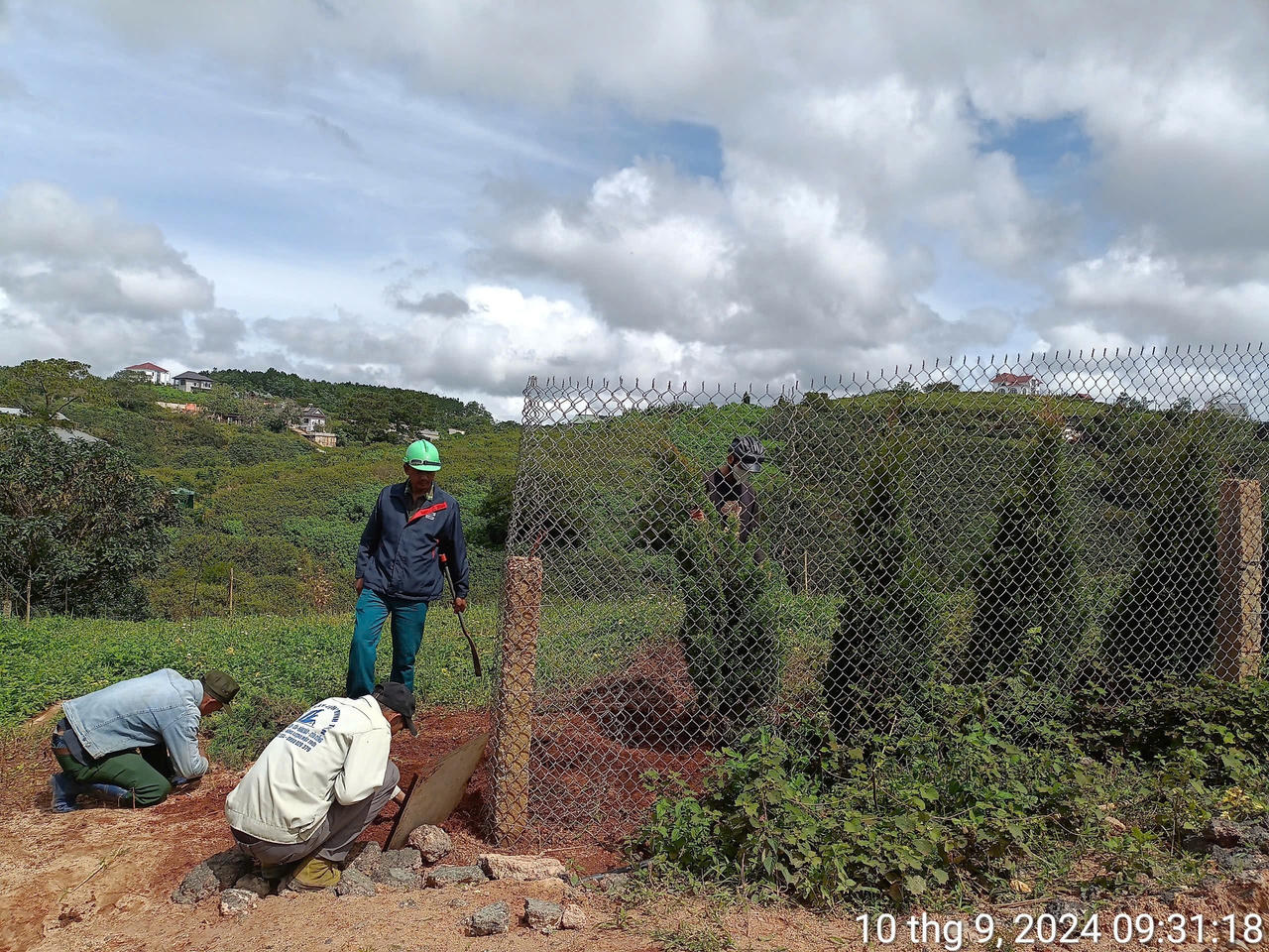 Đặt bẫy kim tiêm trên diện tích lấn chiếm đất rừng 