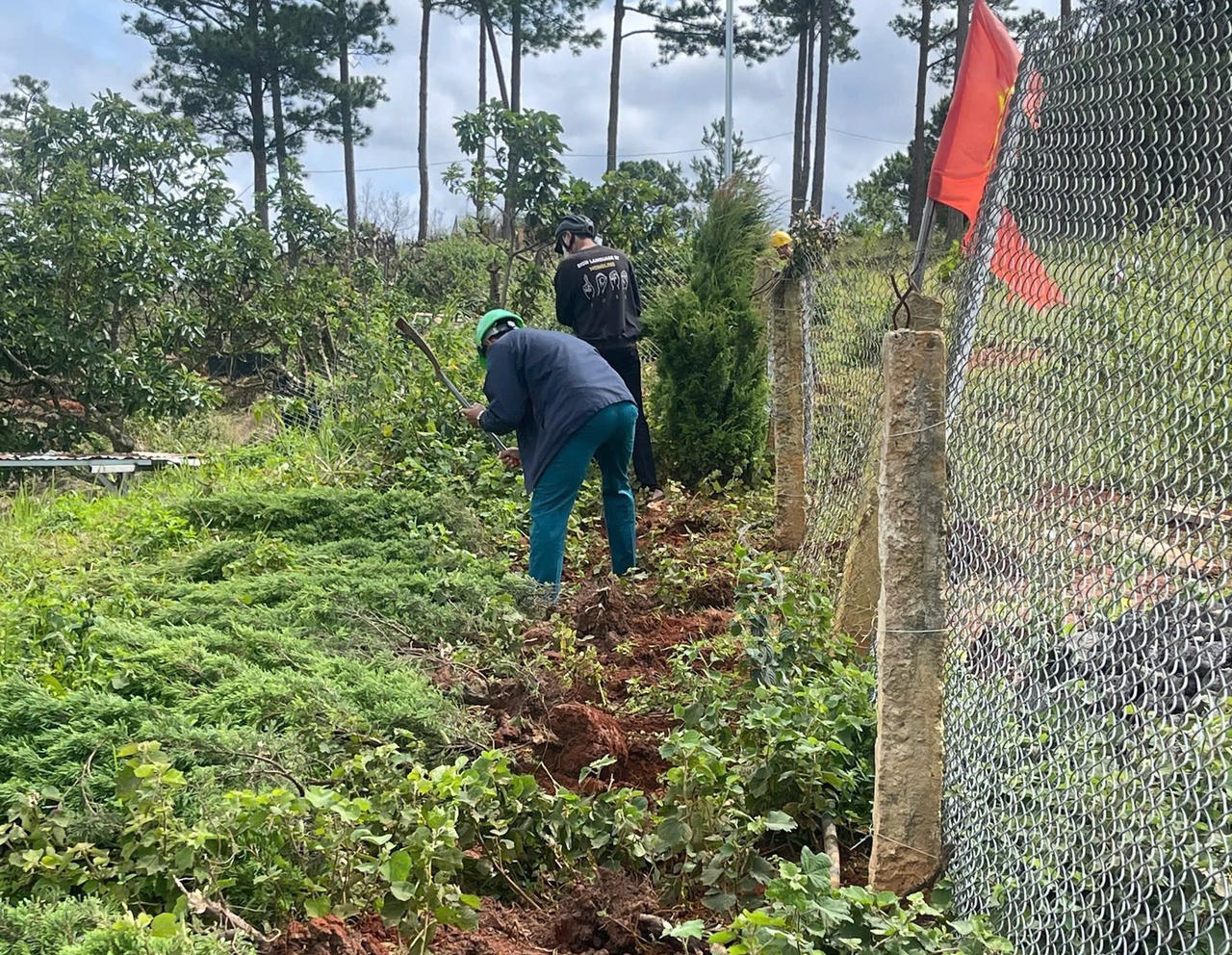 Đặt bẫy kim tiêm trên diện tích lấn chiếm đất rừng 