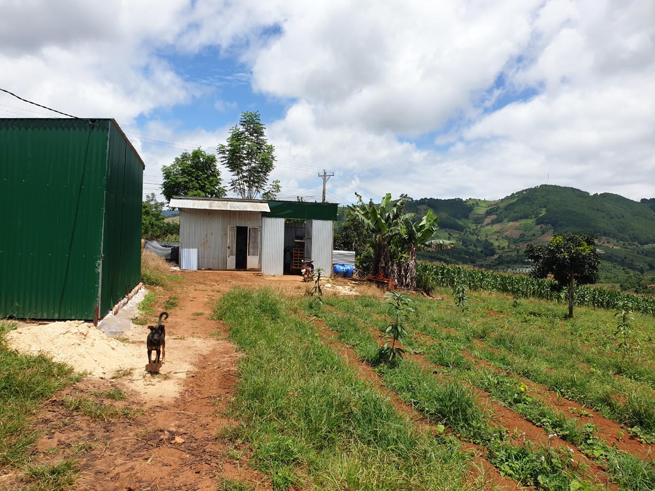 Lâm Đồng cho phép xây dựng công trình phục vụ sản xuất trên đất nông nghiệp