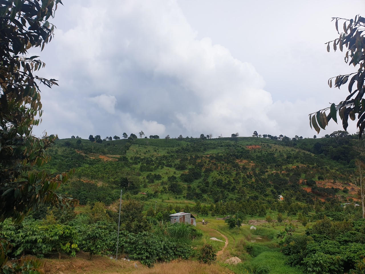 Lâm Đồng cho phép xây dựng công trình phục vụ sản xuất trên đất nông nghiệp