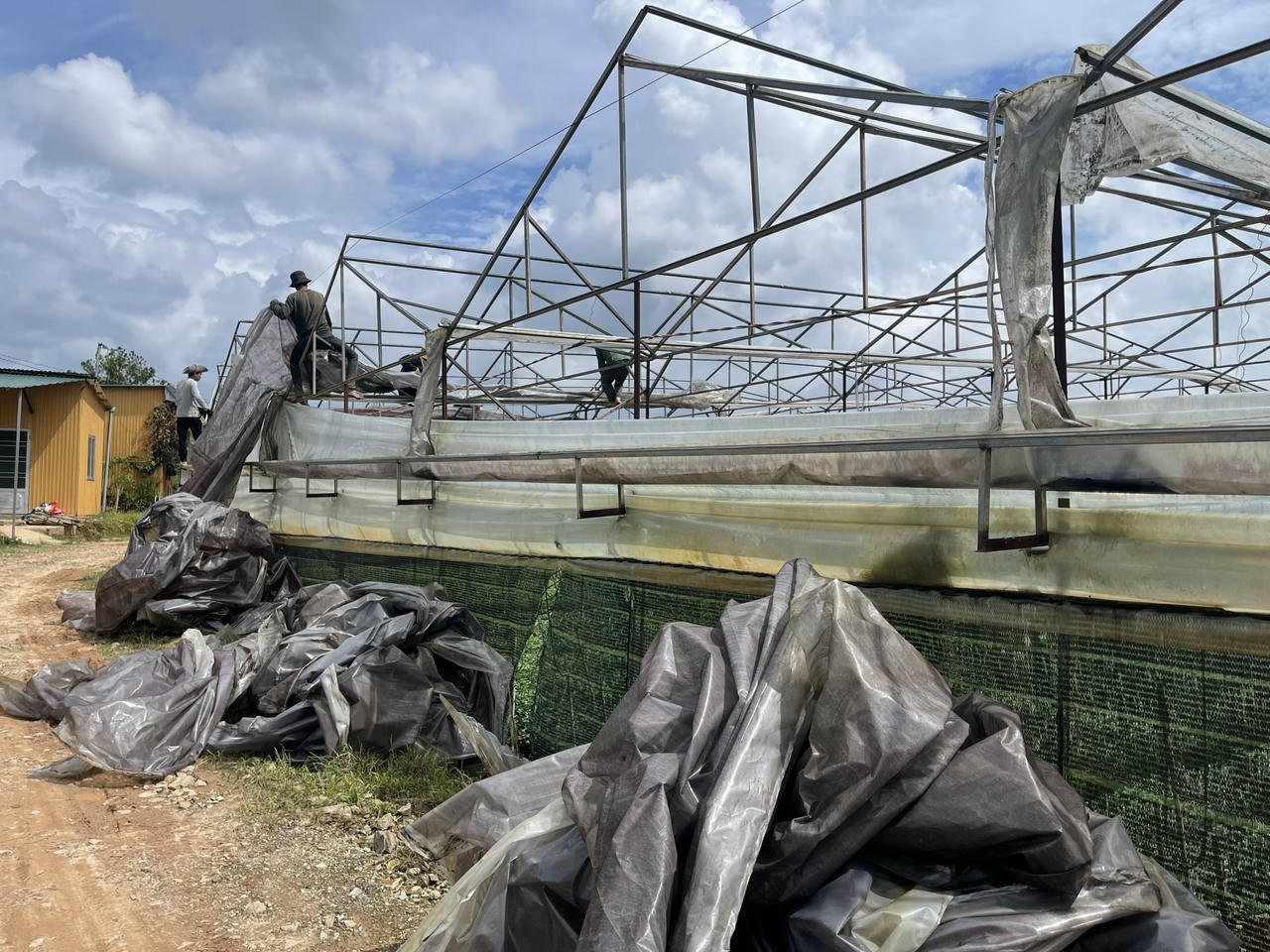 Lâm Đồng cho phép xây dựng công trình phục vụ sản xuất trên đất nông nghiệp