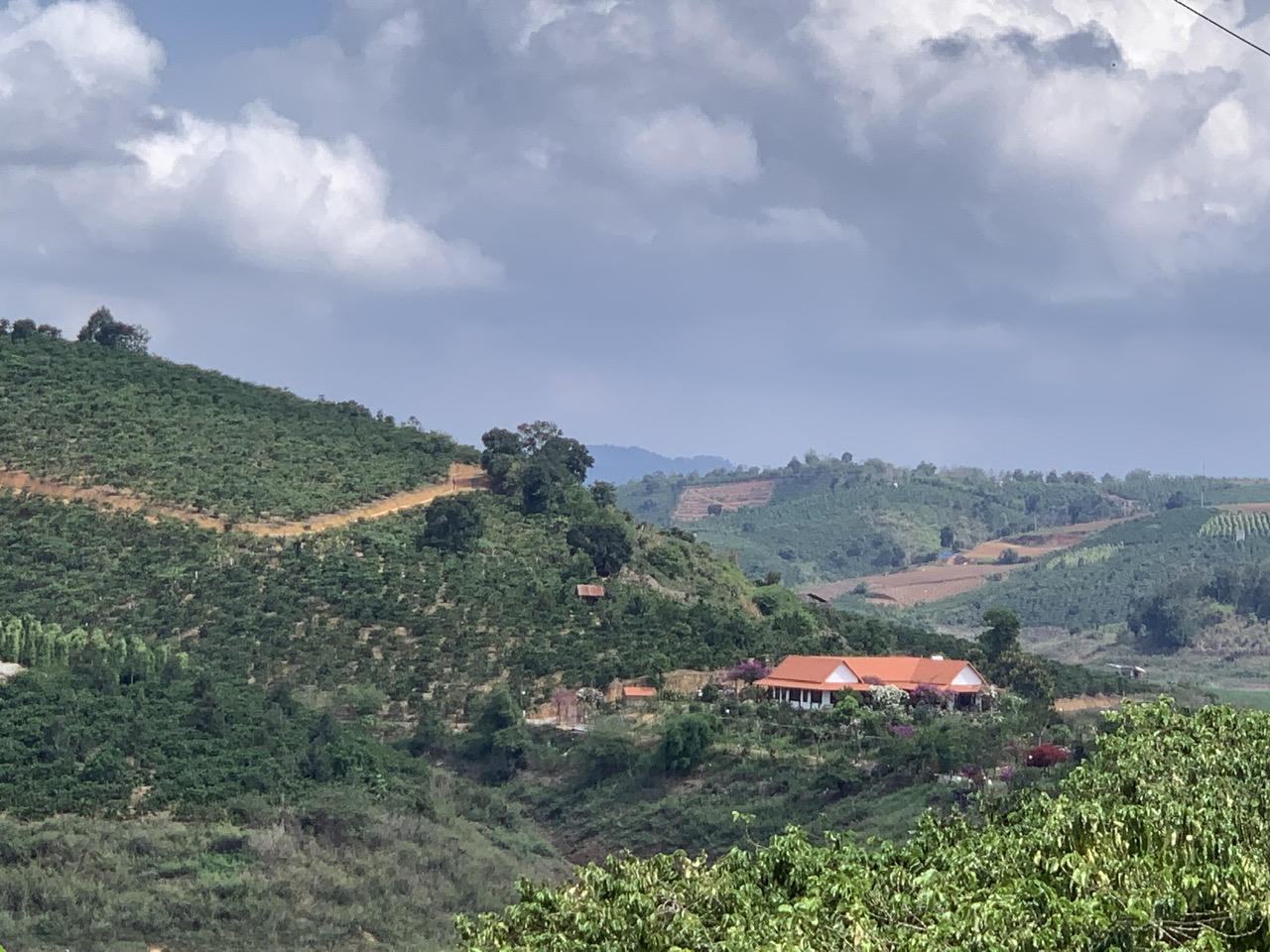 Quy định mới về hạn mức giao đất ở Lâm Đồng