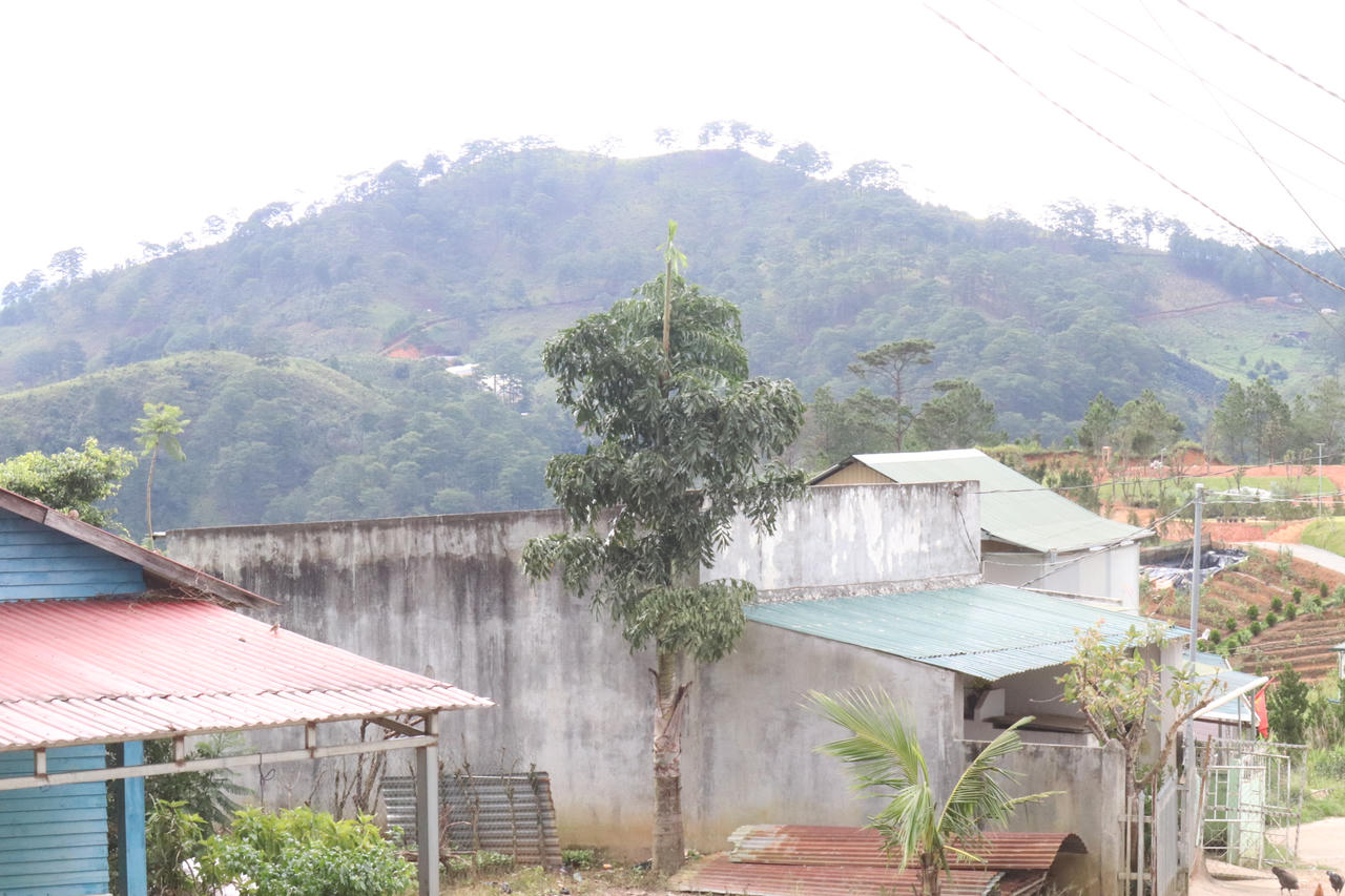 Khát vọng cà phê Tây Nguyên - Bài 3: Xây dựng thương hiệu cà phê của buôn làng để giữ rừng