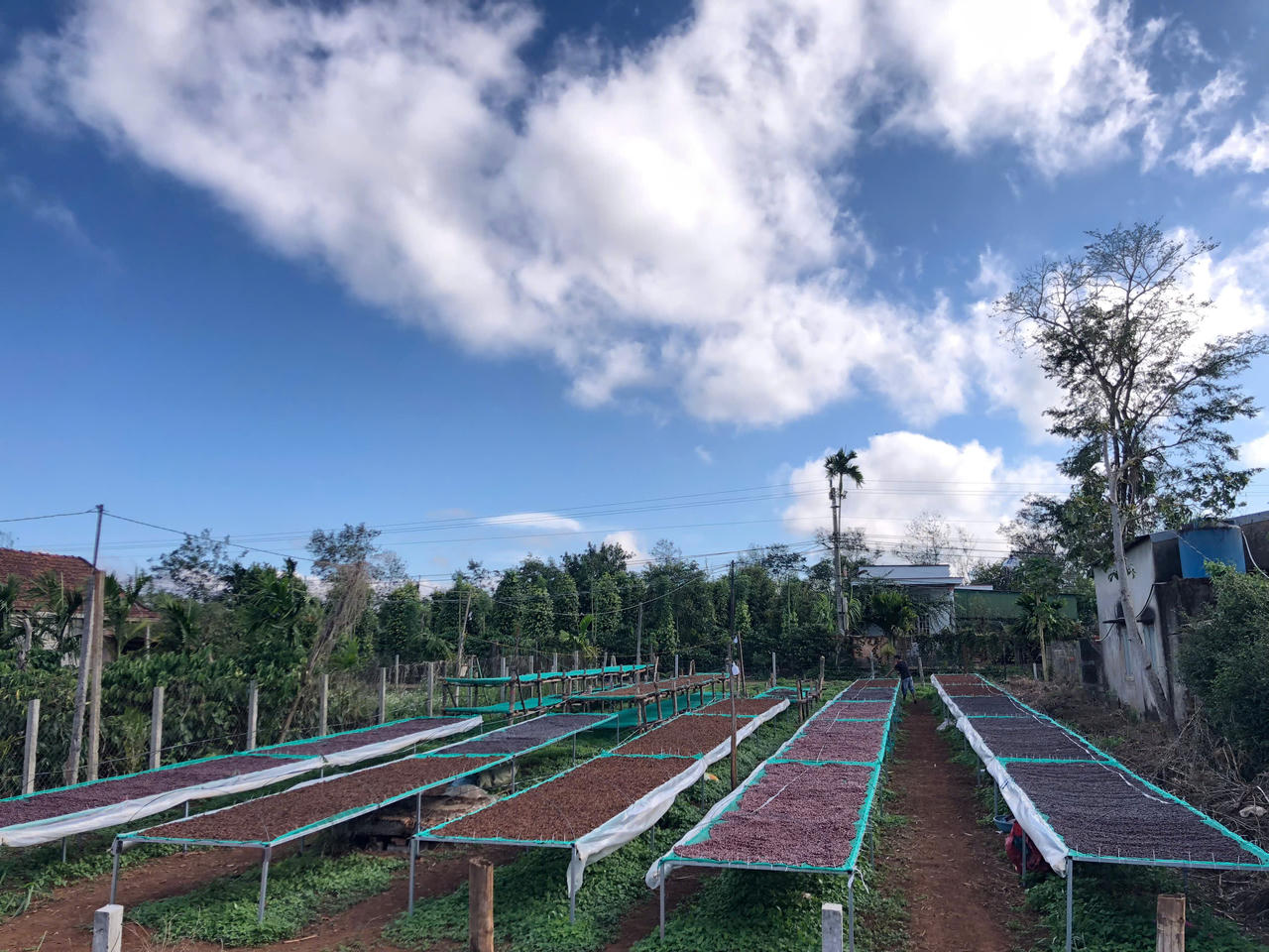 Khát vọng cà phê Tây Nguyên - Bài 4: Phan Em Coffee chắt lọc tinh hoa đất trời Cư M'Gar