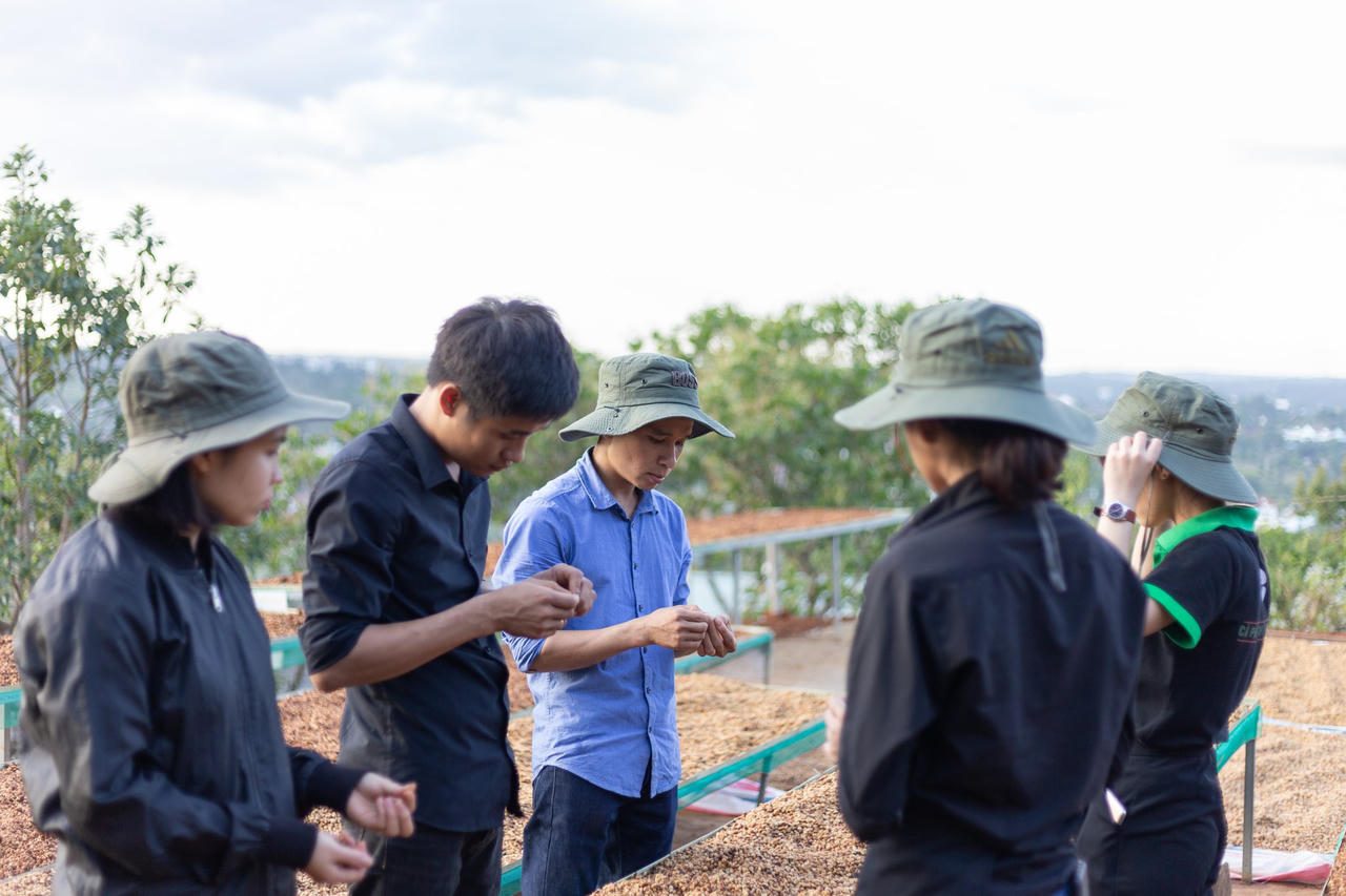 Khát vọng cà phê Tây Nguyên - Bài 5: 'Bắt tay' nông dân đưa Enjoy Coffee vươn ra thế giới