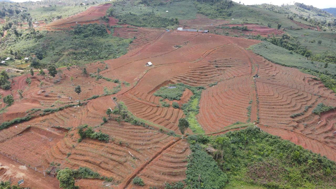Khát vọng cà phê Tây Nguyên - Bài 8: Tiềm năng cà phê xứ lạnh Kon Tum
