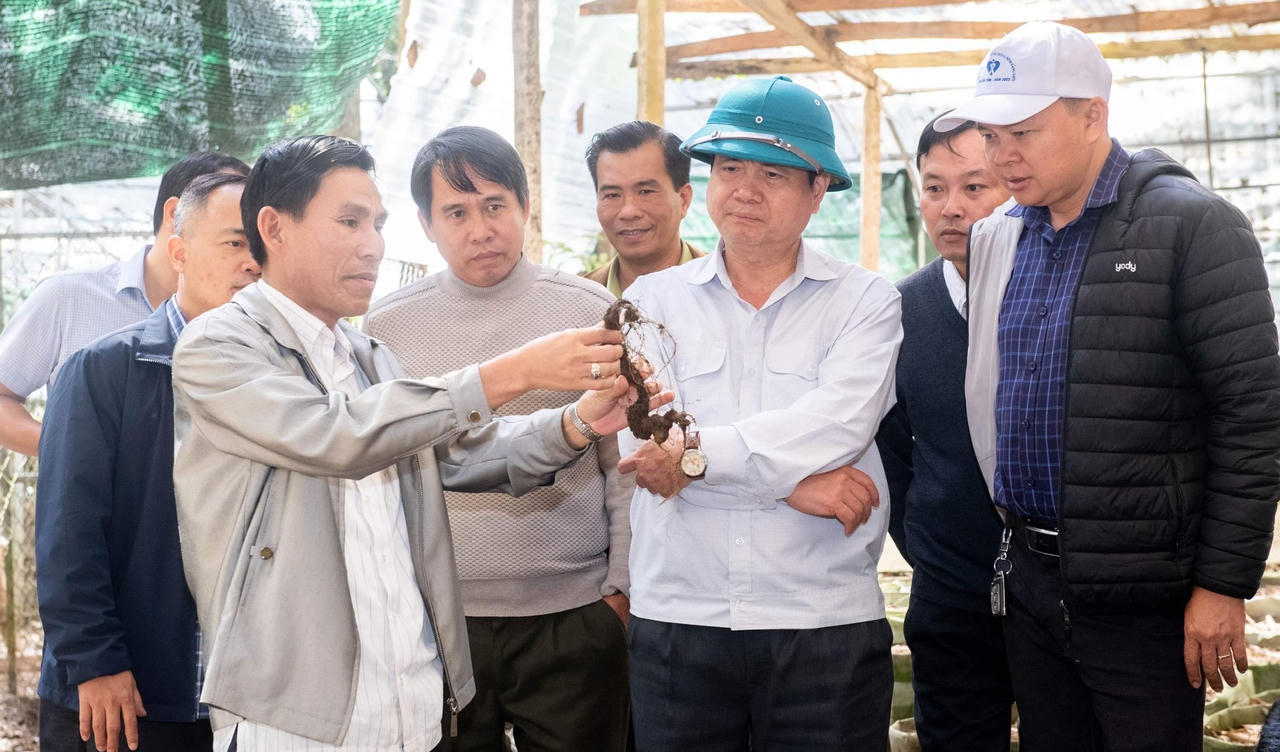 Khát vọng cà phê Tây Nguyên - Bài cuối: Nỗ lực khai phóng nguồn lực cà phê